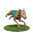 好贏娛樂城穩定出金娛樂城白金賽狗 好贏娛樂城穩定出金娛樂城白金賽狗